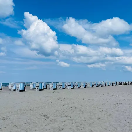 Moewennest * 奥斯特巴特宁哈根