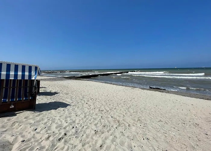 Moewennest Ostseebad Nienhagen