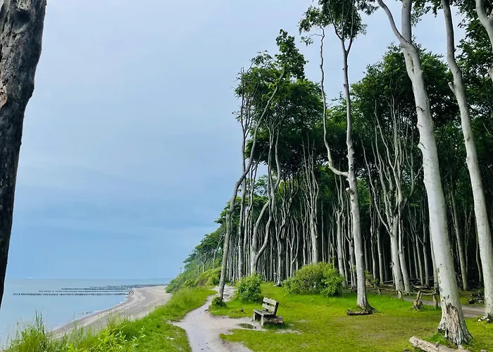 Apartment Moewennest Ostseebad Nienhagen