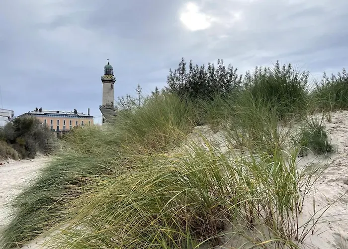 Moewennest *